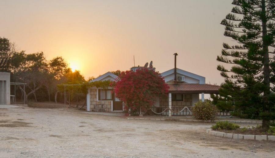 Balci Plaza Hotel And Balci Plaza Guest Bungalows Karpaz Peninsula Selenias Kültér fotó